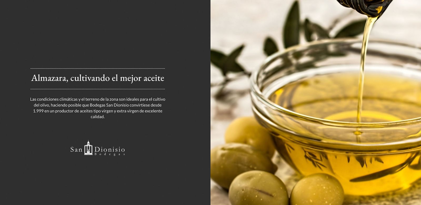 Diseño UX/UI de la home de la línea de aceite de Bodegas San Dionisio